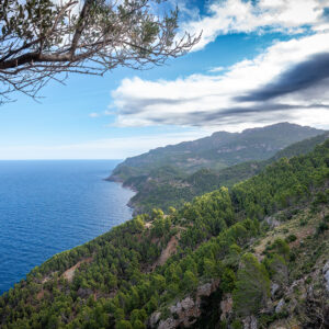 Harley Davidson Bike Week Mallorca By Perfect Tours (47)