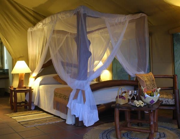 Serena Kilaguni Lodge Tsavo West